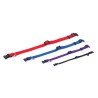 COLLAR NYLON LISO 40-65cm X 2,5cm