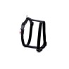 ARNES NYLON LISO30-50 CM X 1,5 CM