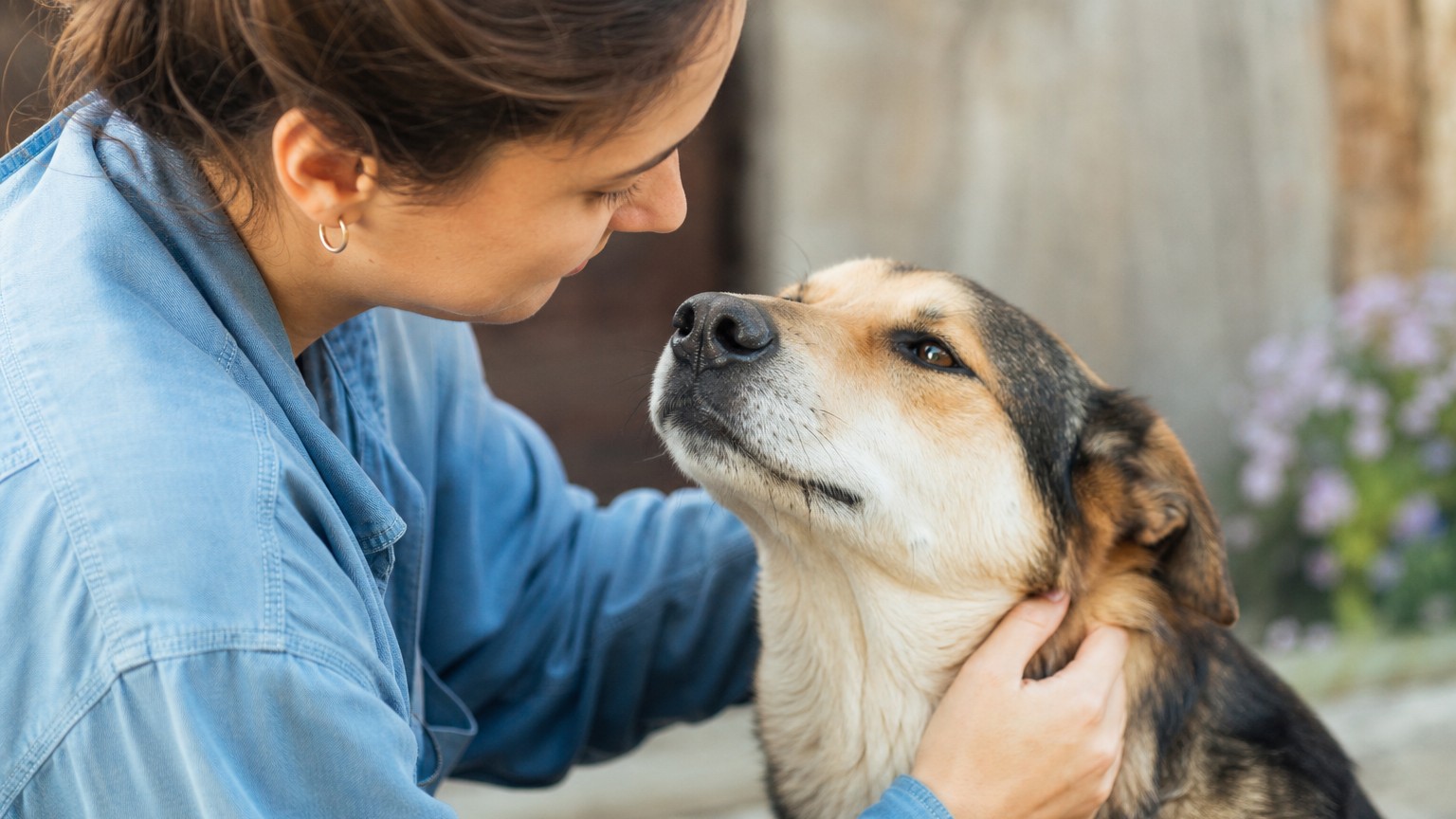 Cómo ganar la confianza de un perro