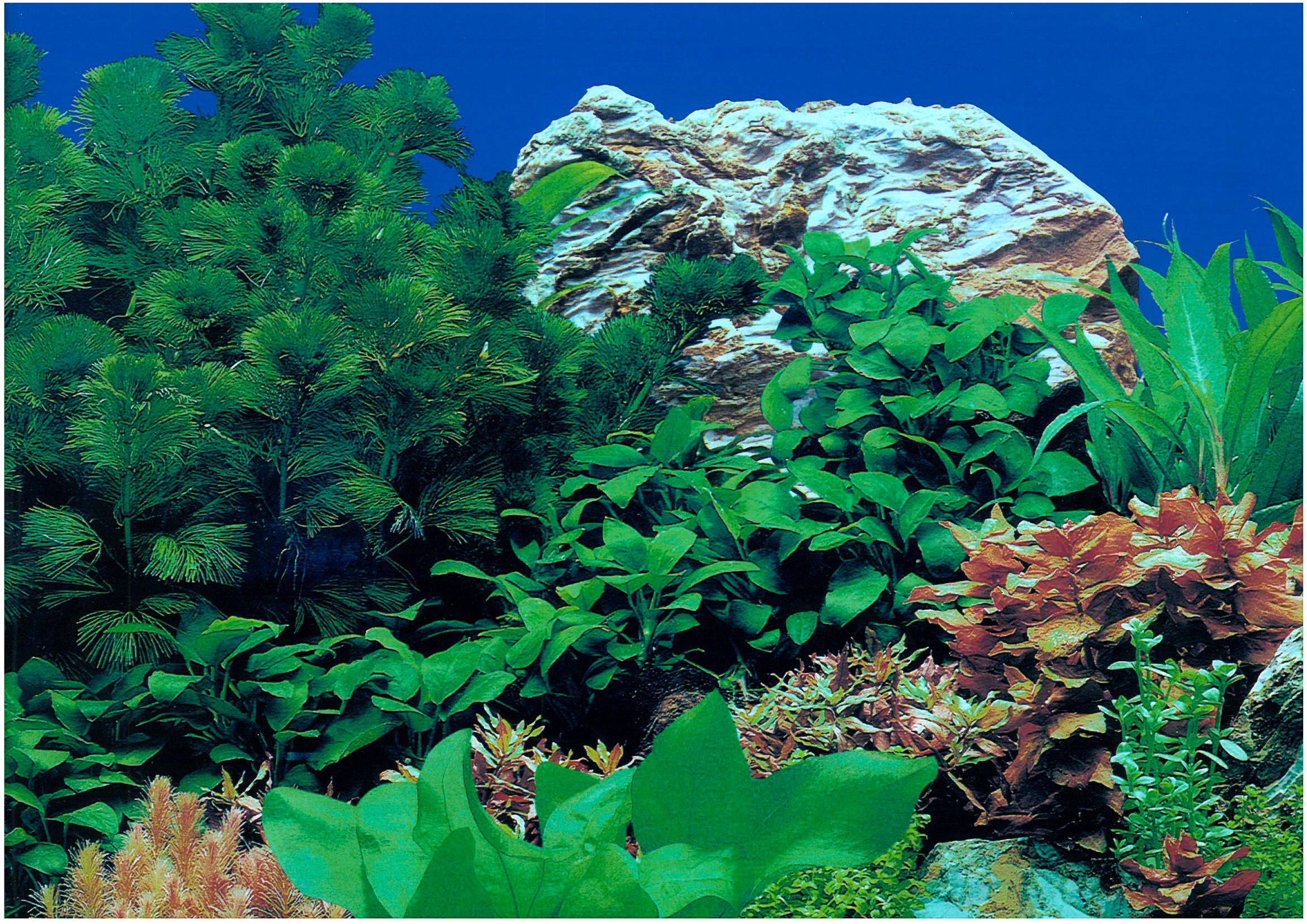 1PAPEL DECORATIVO 30CM X 1 M