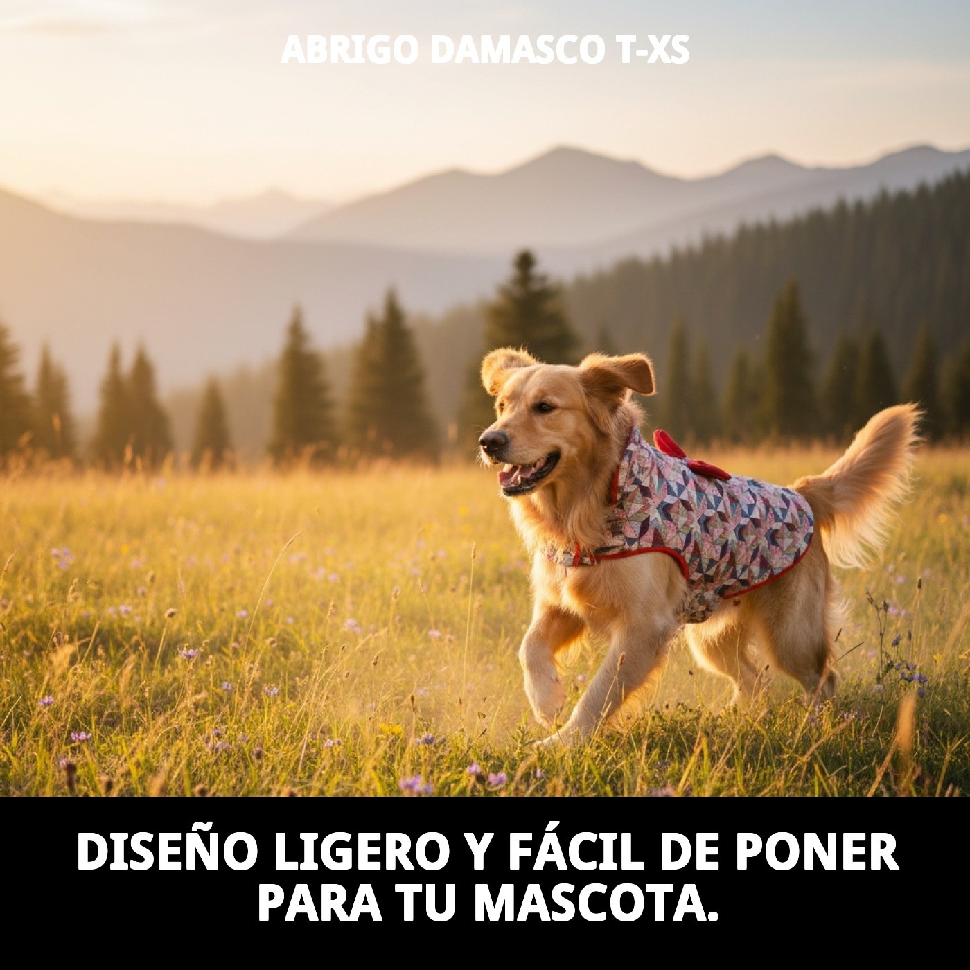 ABRIGO DAMASCO T-XS
