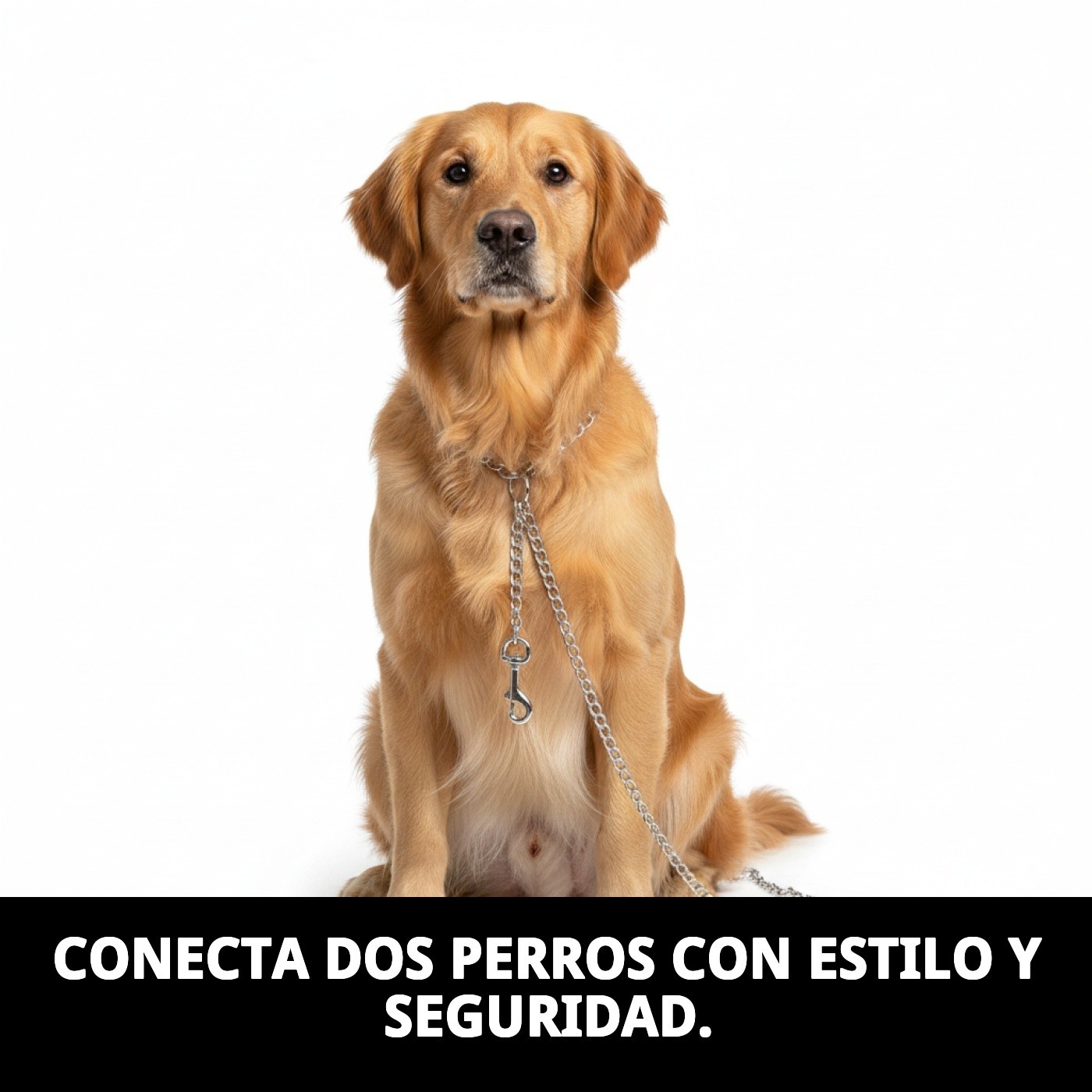 ACOPLE 2 PERROS CROMADO 25cm X 2mm