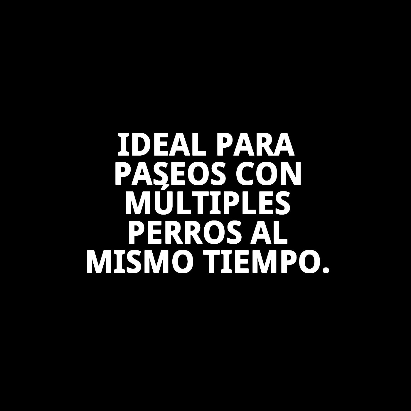 ACOPLE 2 PERROS CROMADO 25cm X 2mm