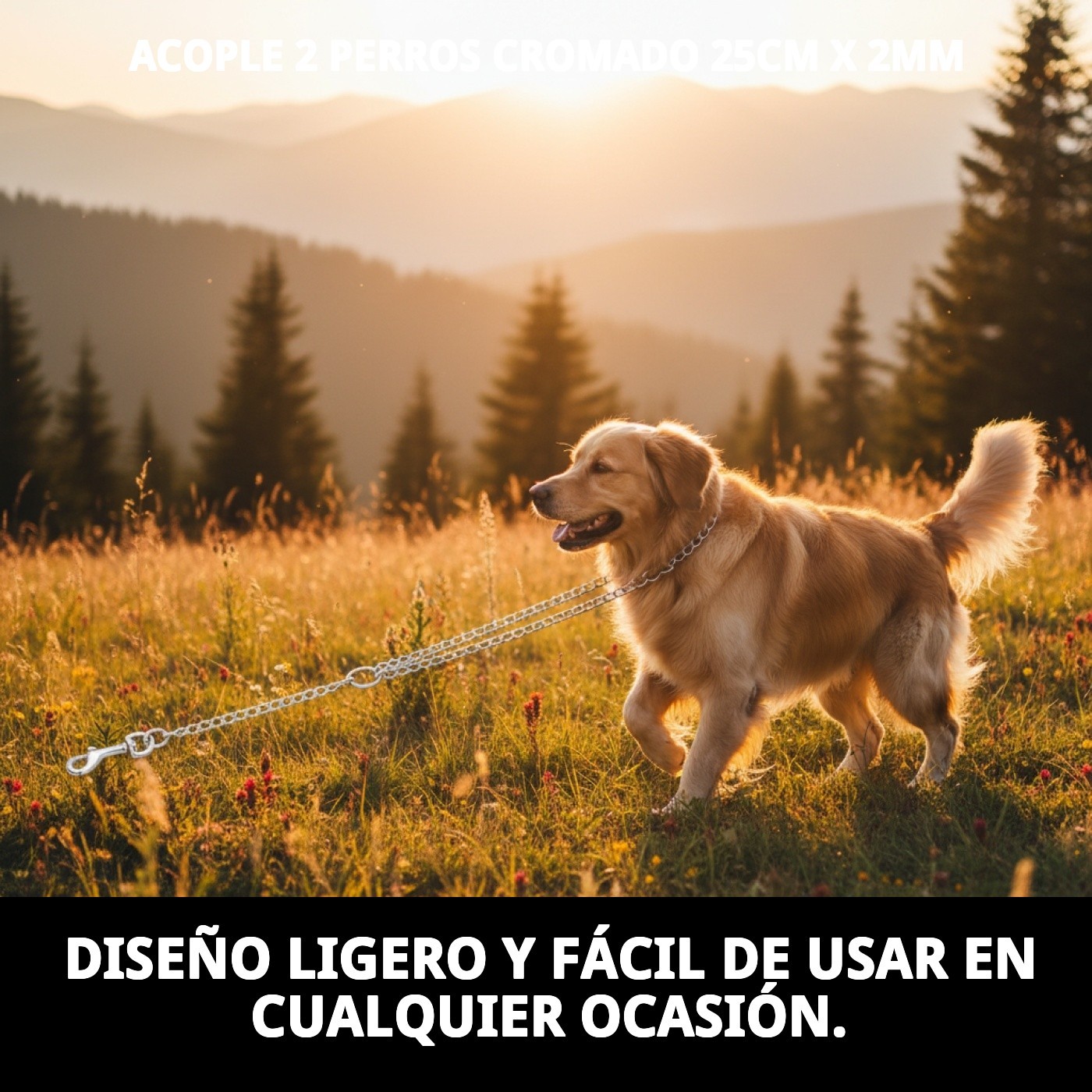 ACOPLE 2 PERROS CROMADO 25cm X 2mm