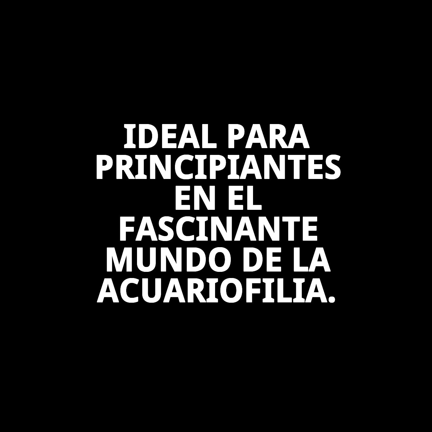 ACUARIO CRISTAL C/M NEGRO 20 LTS KIT COMPLETO 40X2