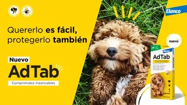 ADTAB OTC 112,5 MG 2,5-5,5 KG