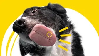 ADTAB OTC 900 MG 22-45 KG