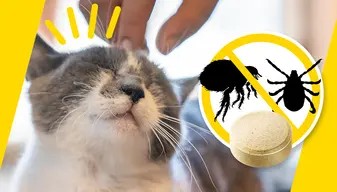 ADTAB OTC GATO 12 MG 0,5 - 2 KG