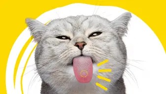 ADTAB OTC GATO 48 MG 2-8 KG