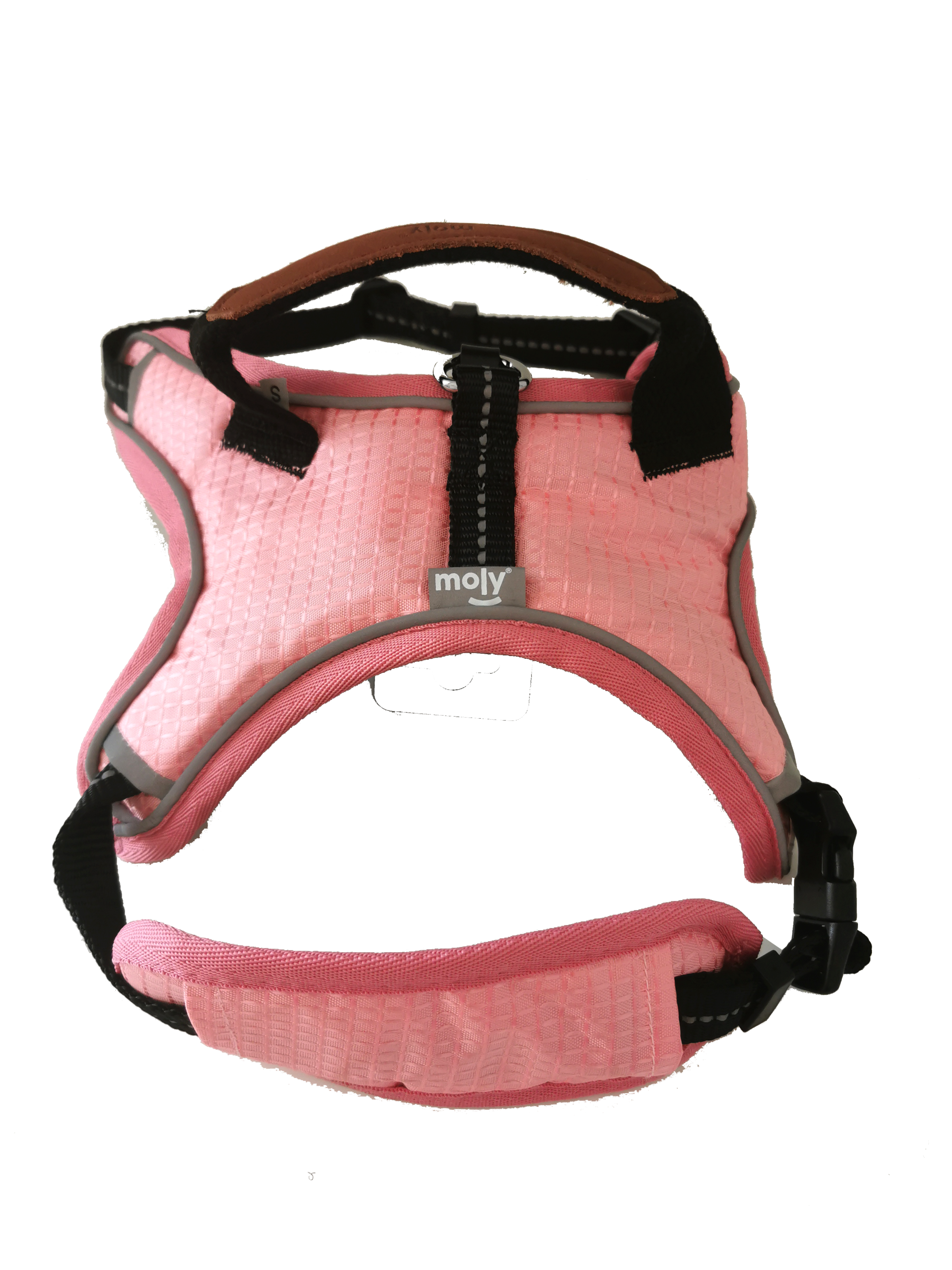 ARNES BLUE/PINK CONFORT MOLY TALLA S