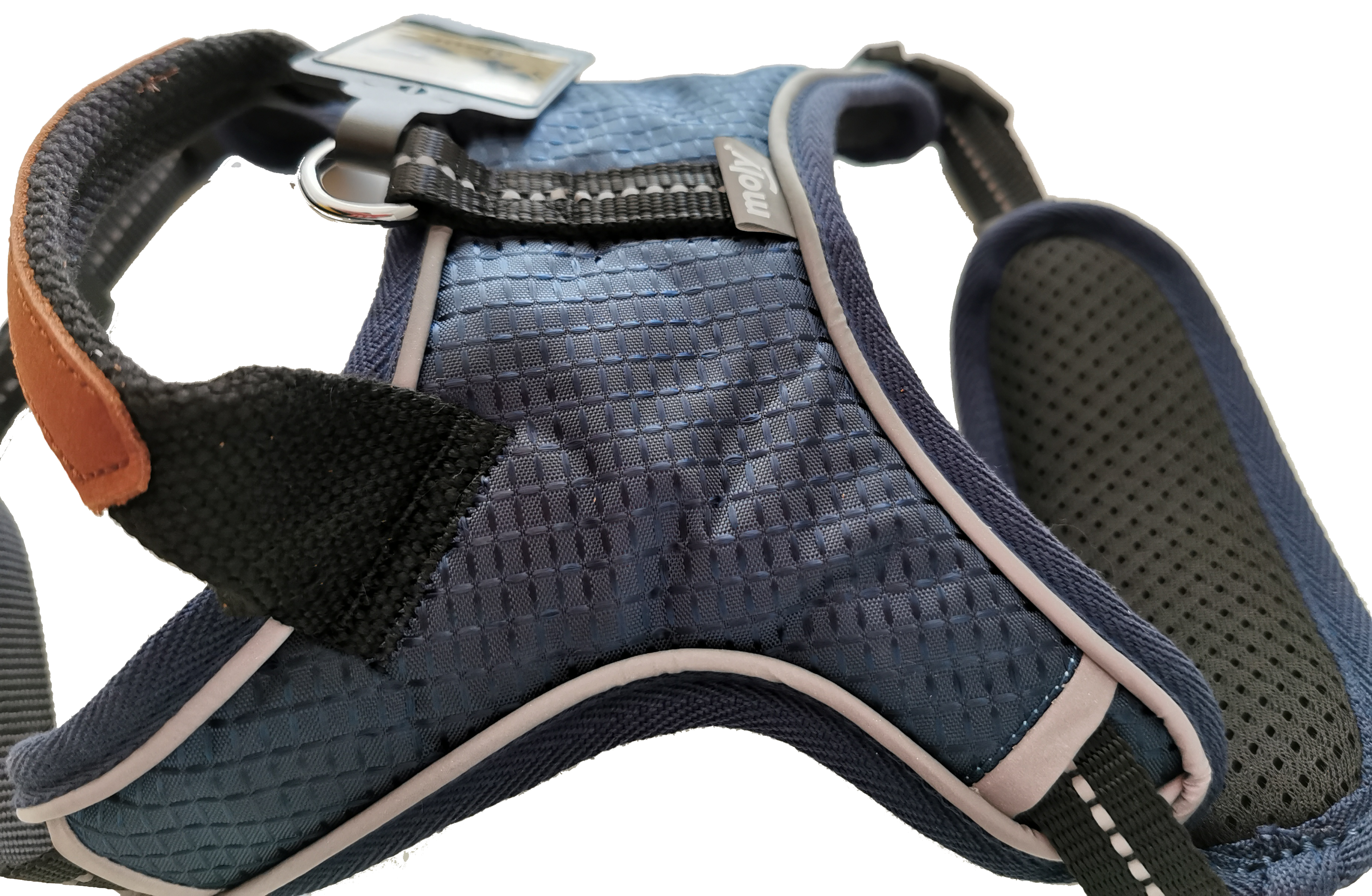 ARNES BLUE/PINK CONFORT MOLY TALLA S