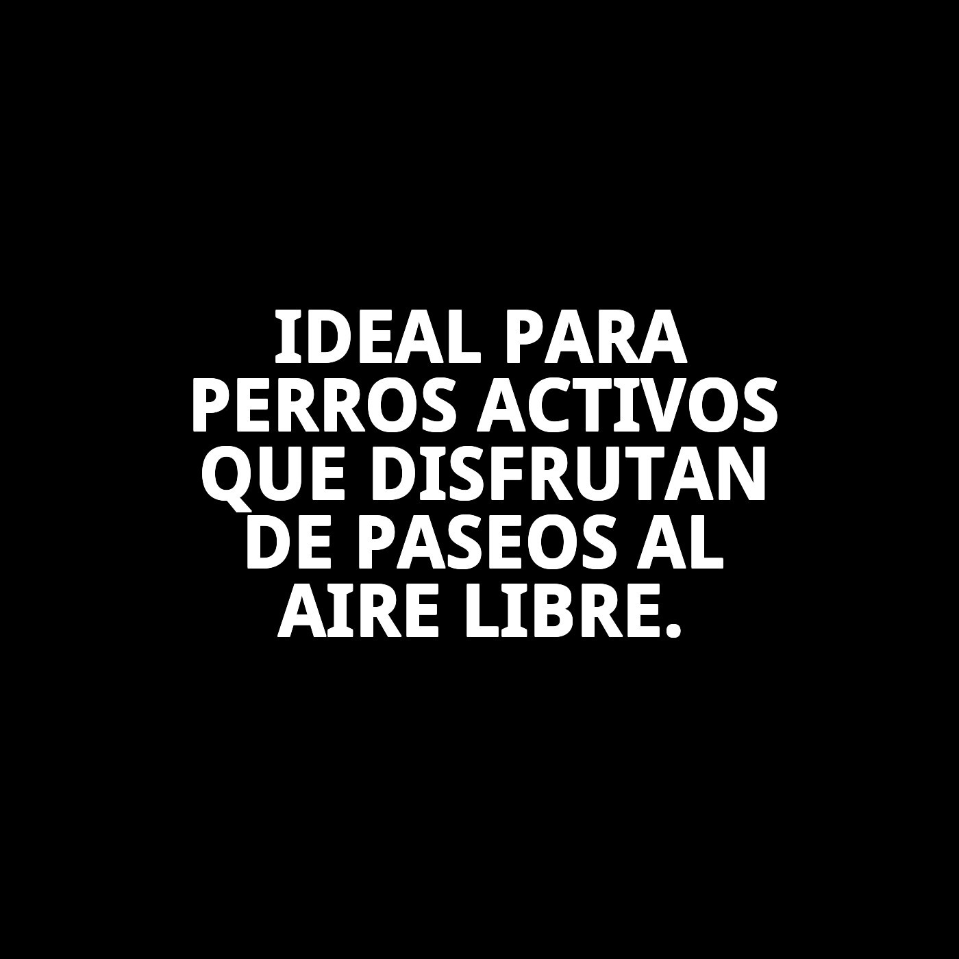 ARNES CON RAMAL FLUOR 1,3 COLORES