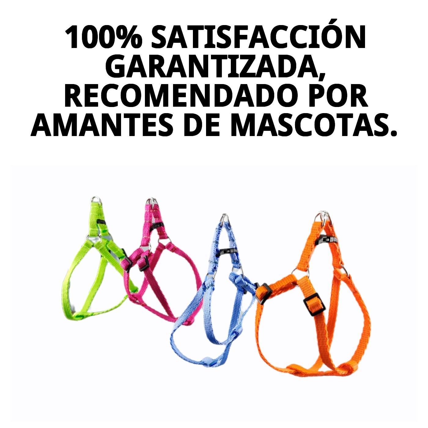 ARNES CON RAMAL FLUOR 1,3 COLORES