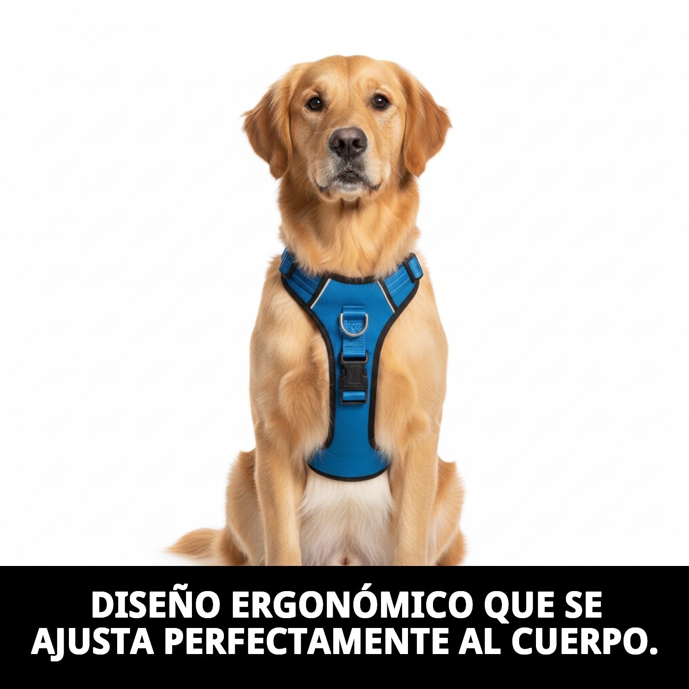 ARNES NYLON CONFORT 1cm