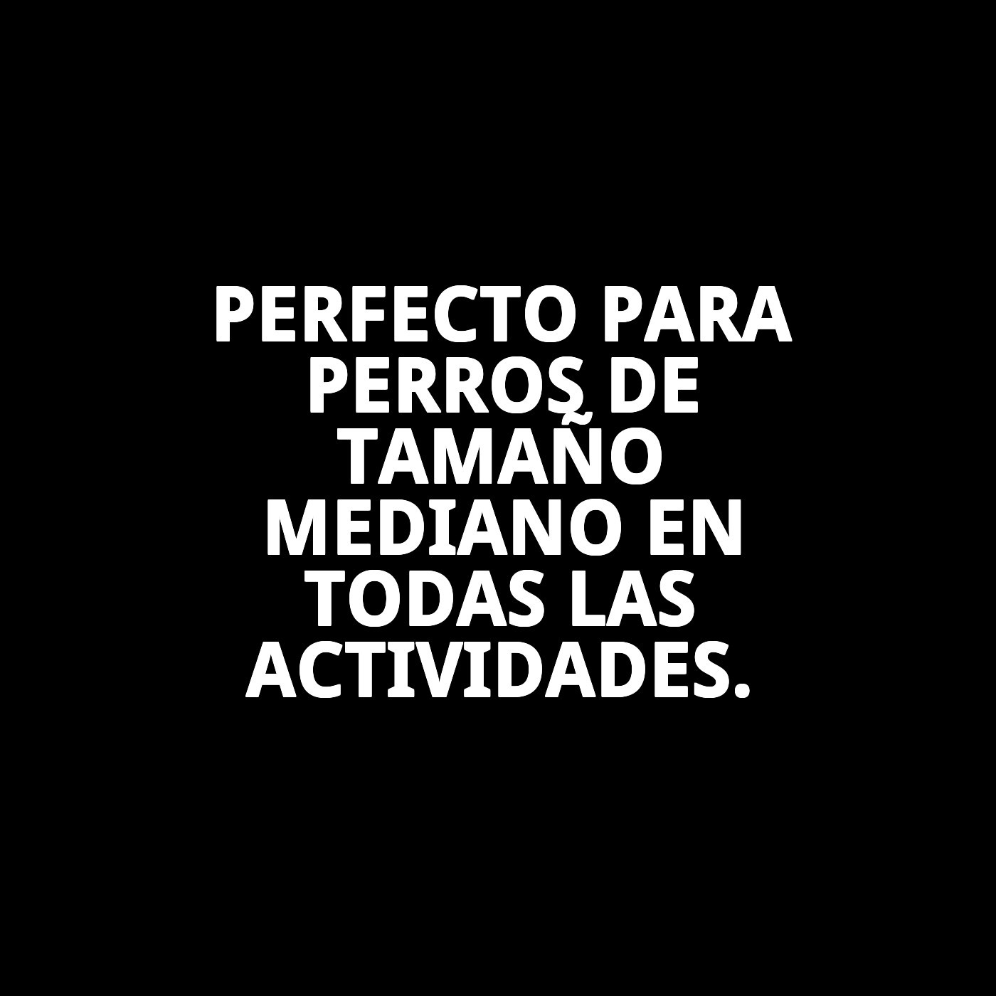 ARNES NYLON DE SEGURIDAD Y PASEO M