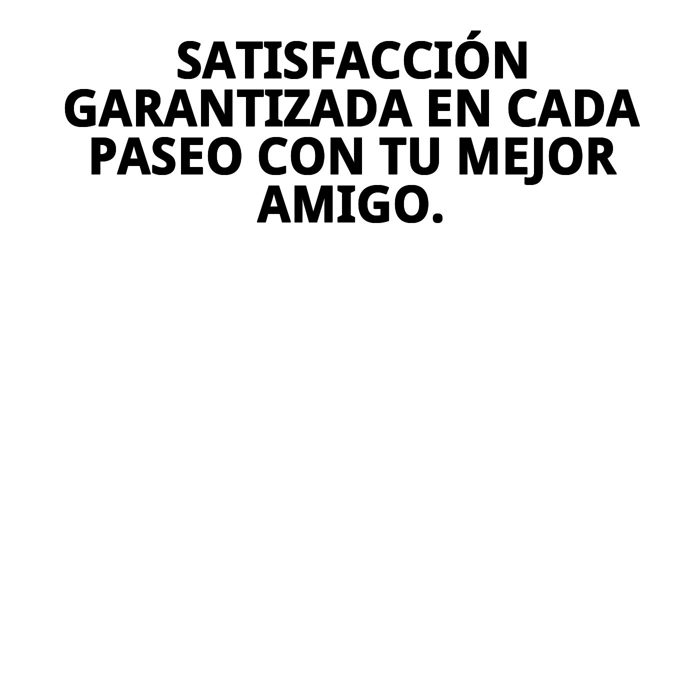 ARNES NYLON DE SEGURIDAD Y PASEO M