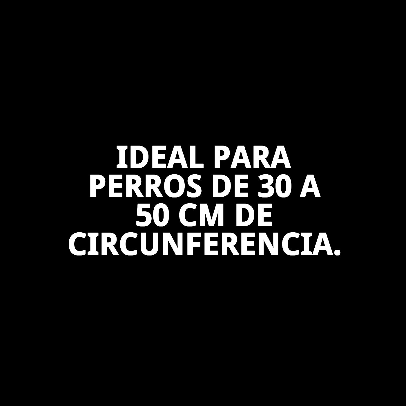 ARNES NYLON LISO 30-50cm 1cm