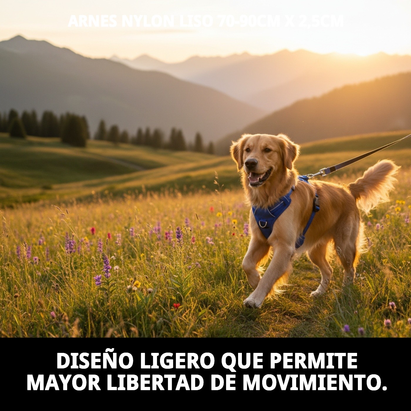 ARNES NYLON LISO 70-90cm X 2,5cm