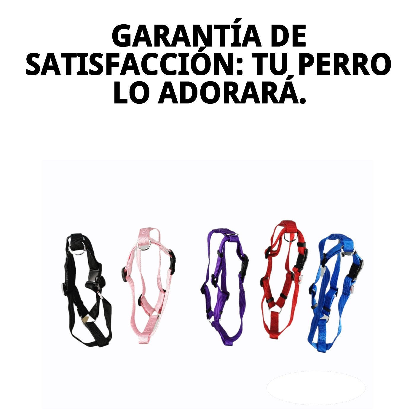 ARNES NYLON LISO 70-90cm X 2,5cm