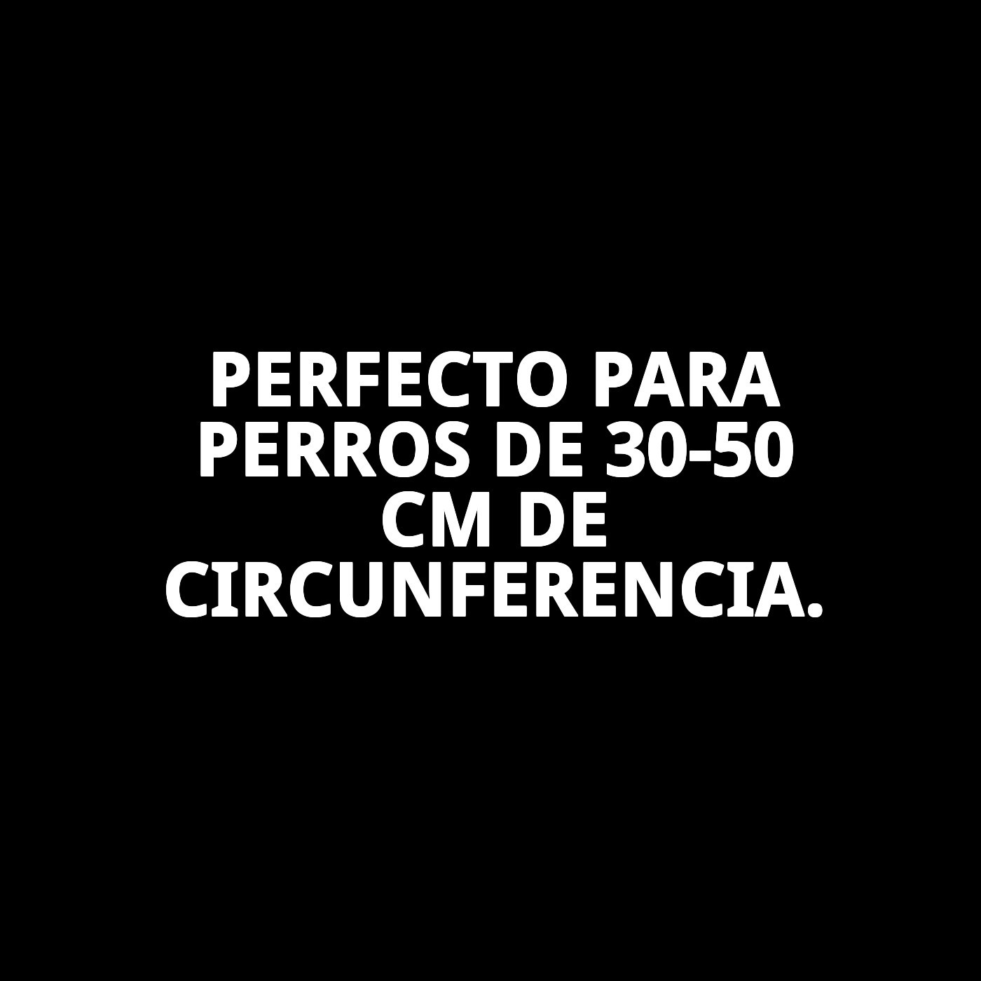 ARNES NYLON LISO30-50 CM X 1,5 CM