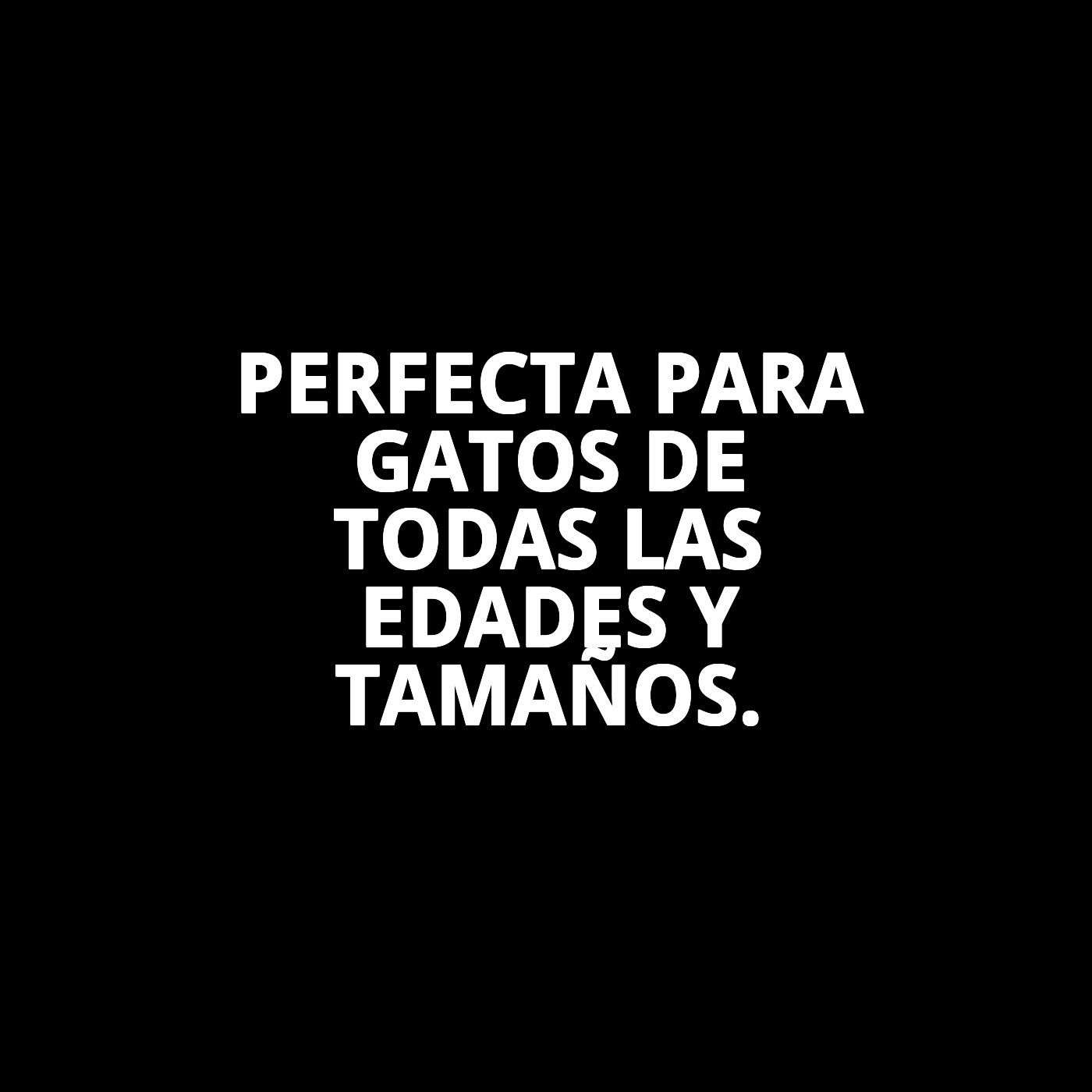 BANDEJA CAT LITTER TRAY 2 50X35X12