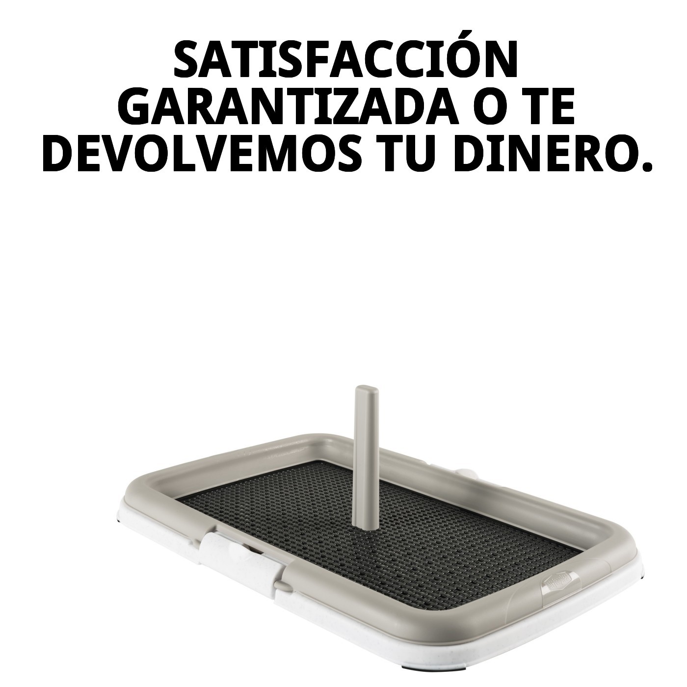 BANDEJA PUPPY TRAINING