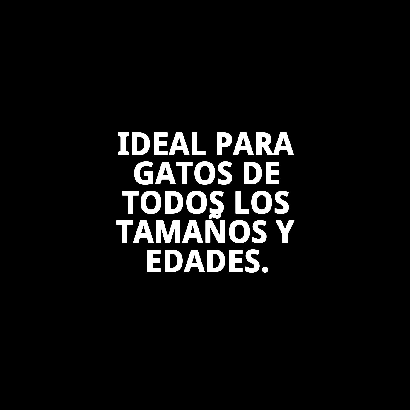 BANDEJA SPRINT 10 31X43X14