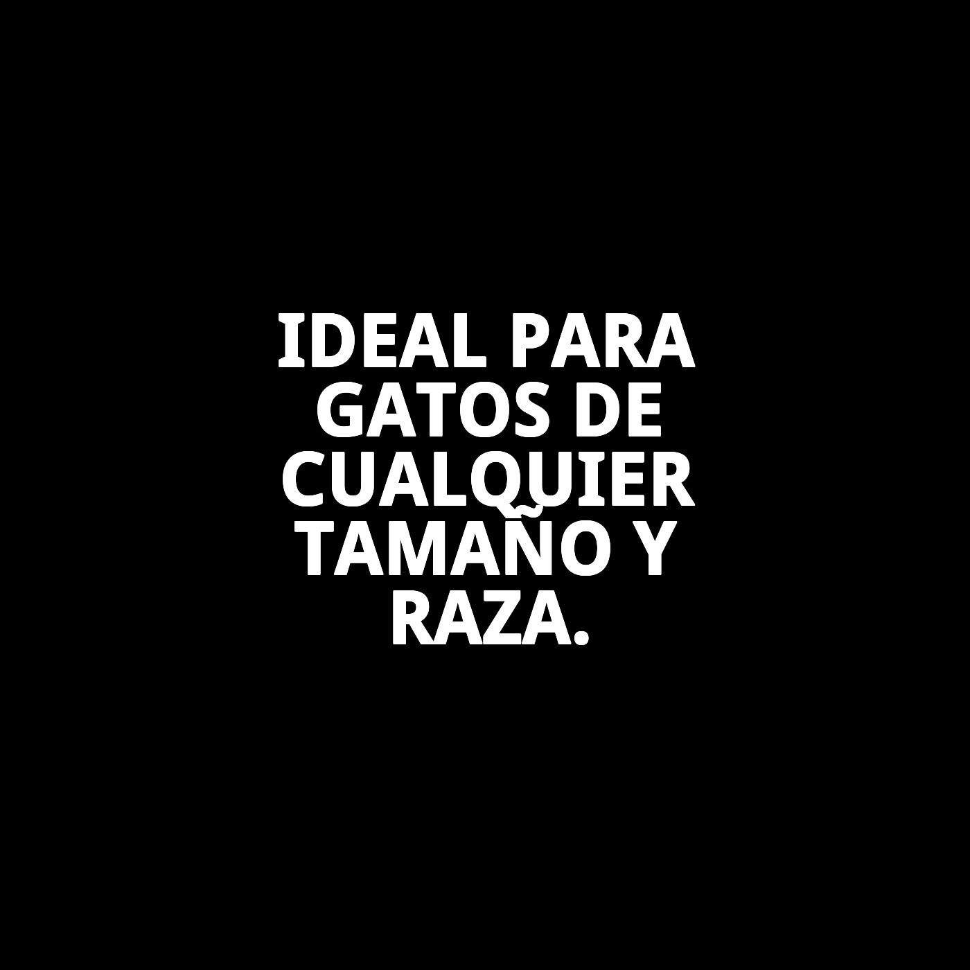 BANDEJA SPRINT 20 39X58X17 H