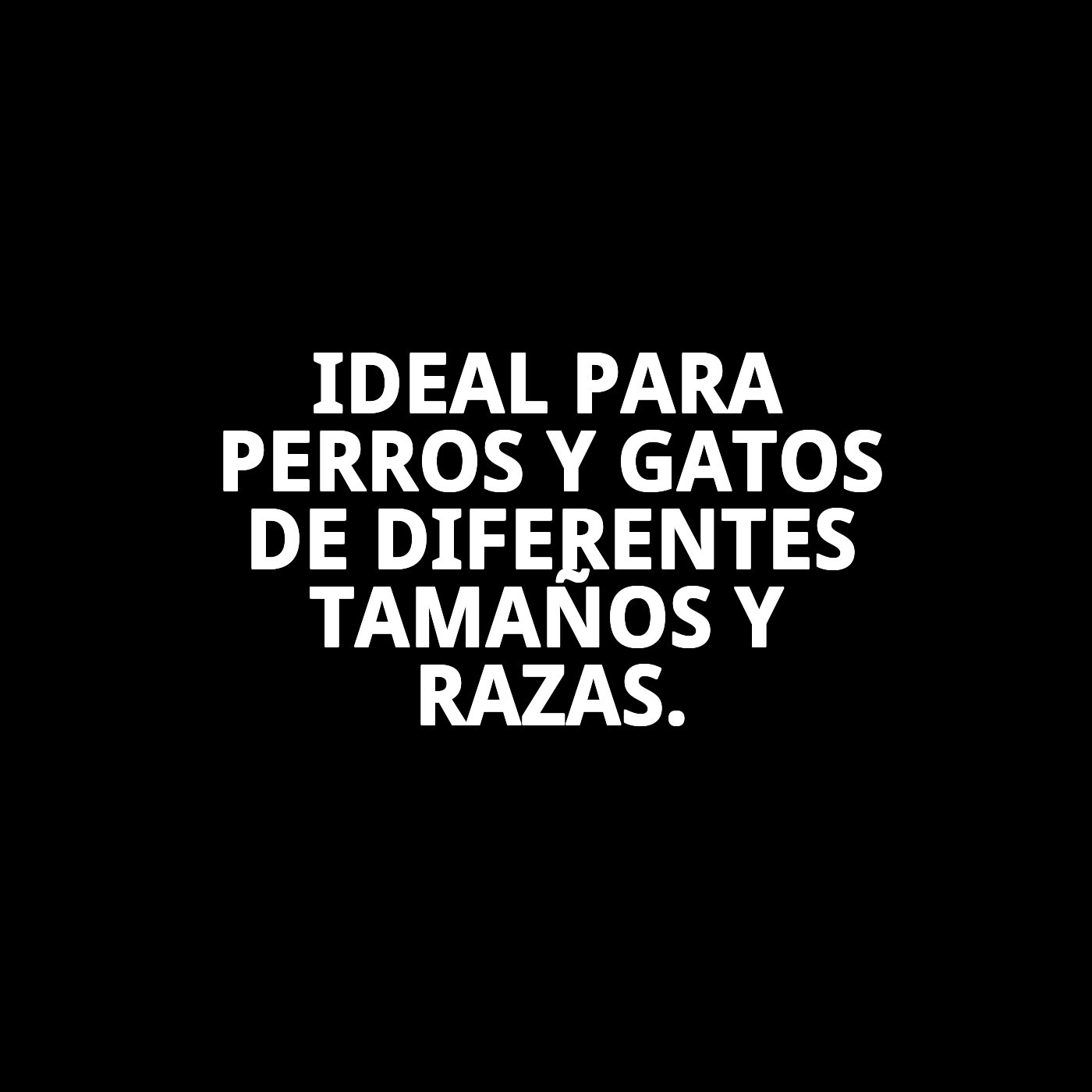 BAÑERA INTERIOR GRANDE