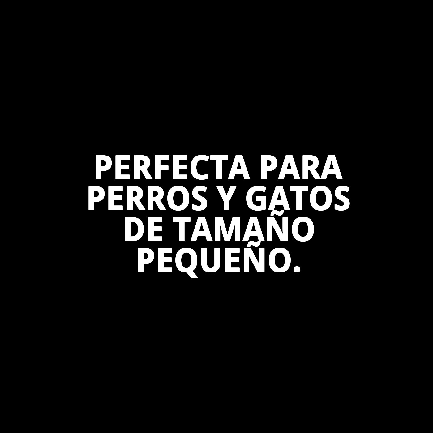 BAÑERA INTERIOR PEQUEÑA