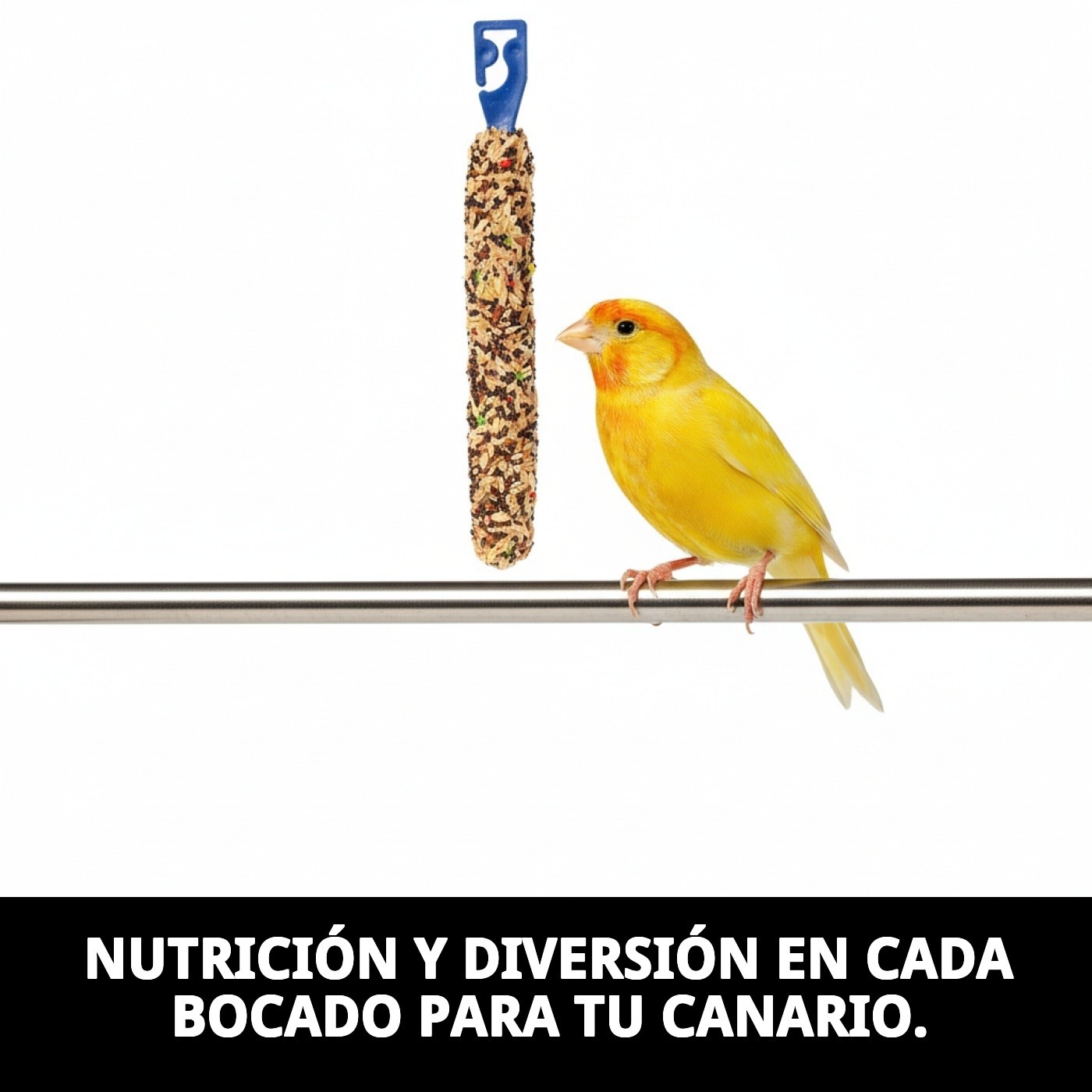 BARRITAS CANTO CANARIOS 2 UNID.EXP.10