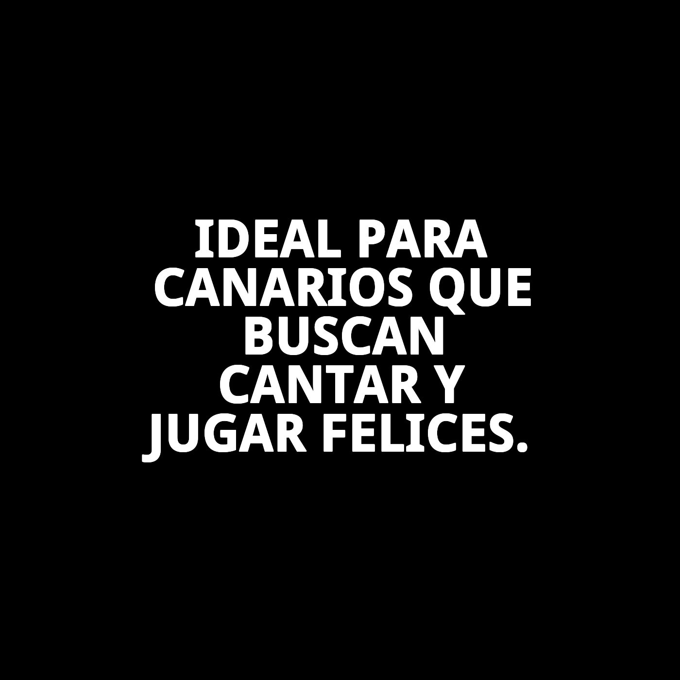 BARRITAS CANTO CANARIOS 2 UNID.EXP.10