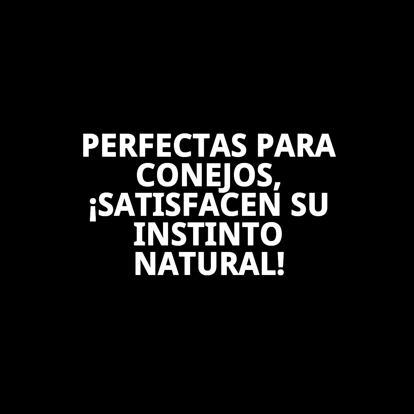 BARRITAS FRUTA CONEJOS 2 UNID EXP.10