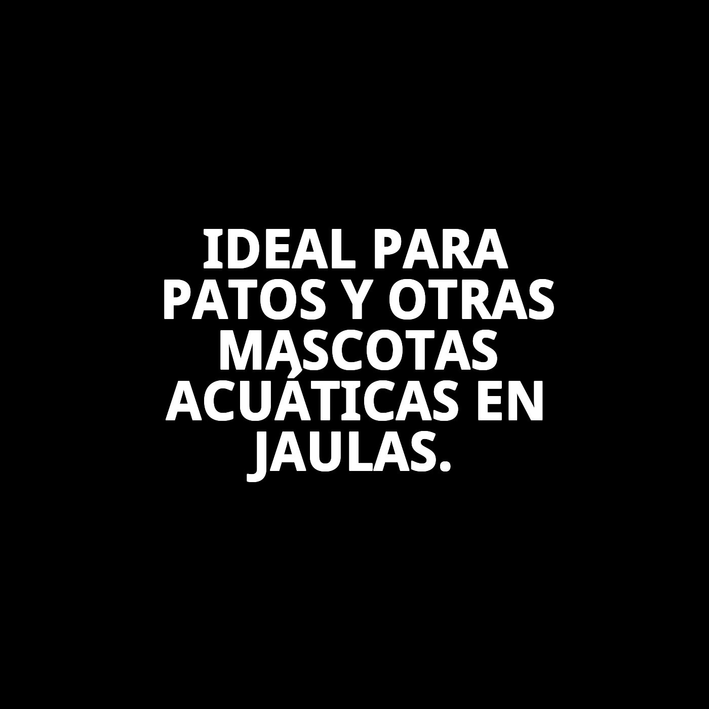 BEBEDERO CORTO PICO PATO