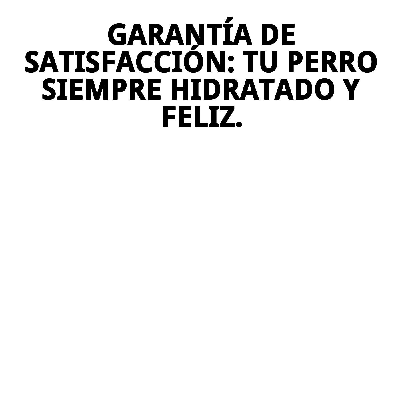 Bebedero de Viaje para Perros 500 ml | Hidratación Práctica y Segura en Paseos – Moly