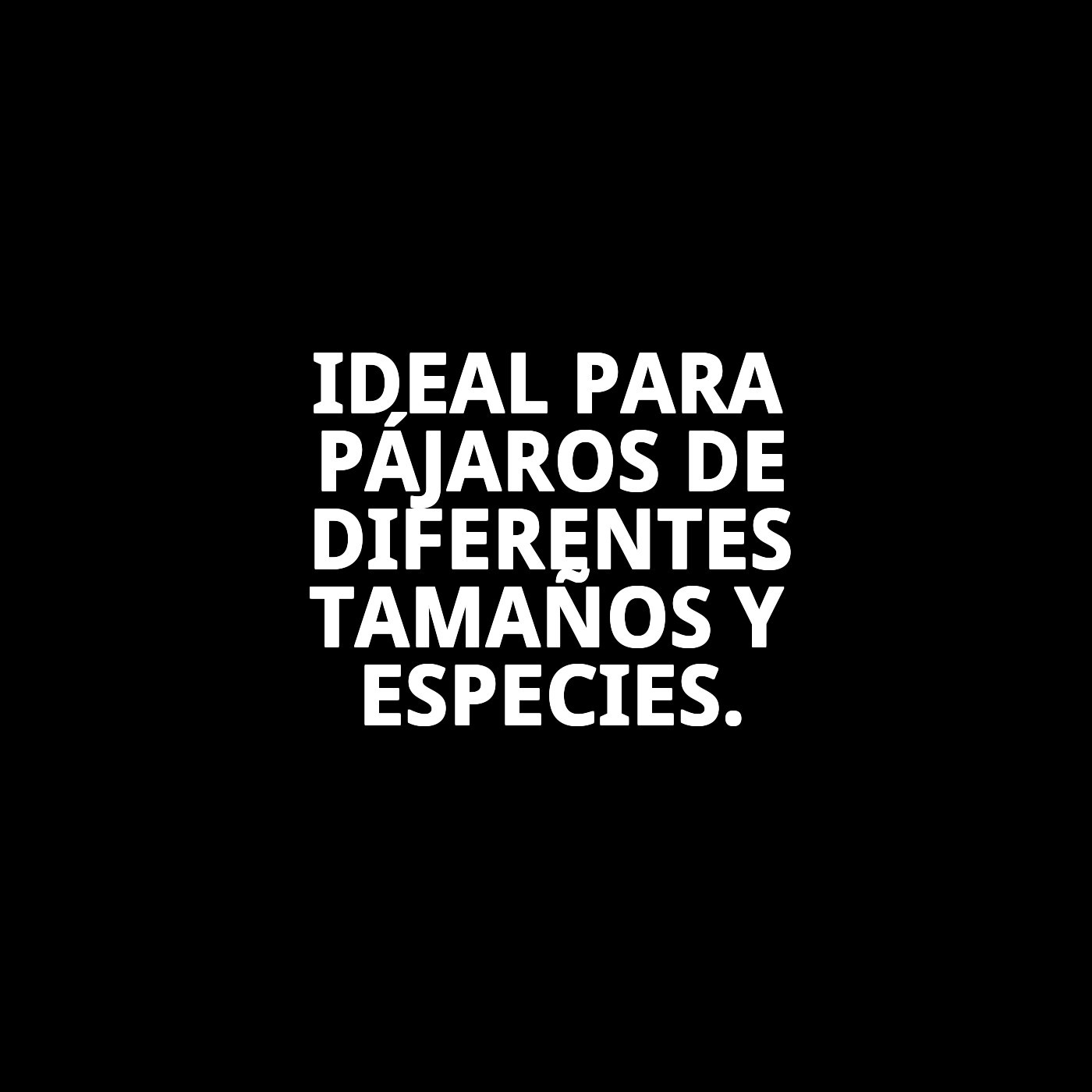 BEBEDERO LARGO PICO PATO