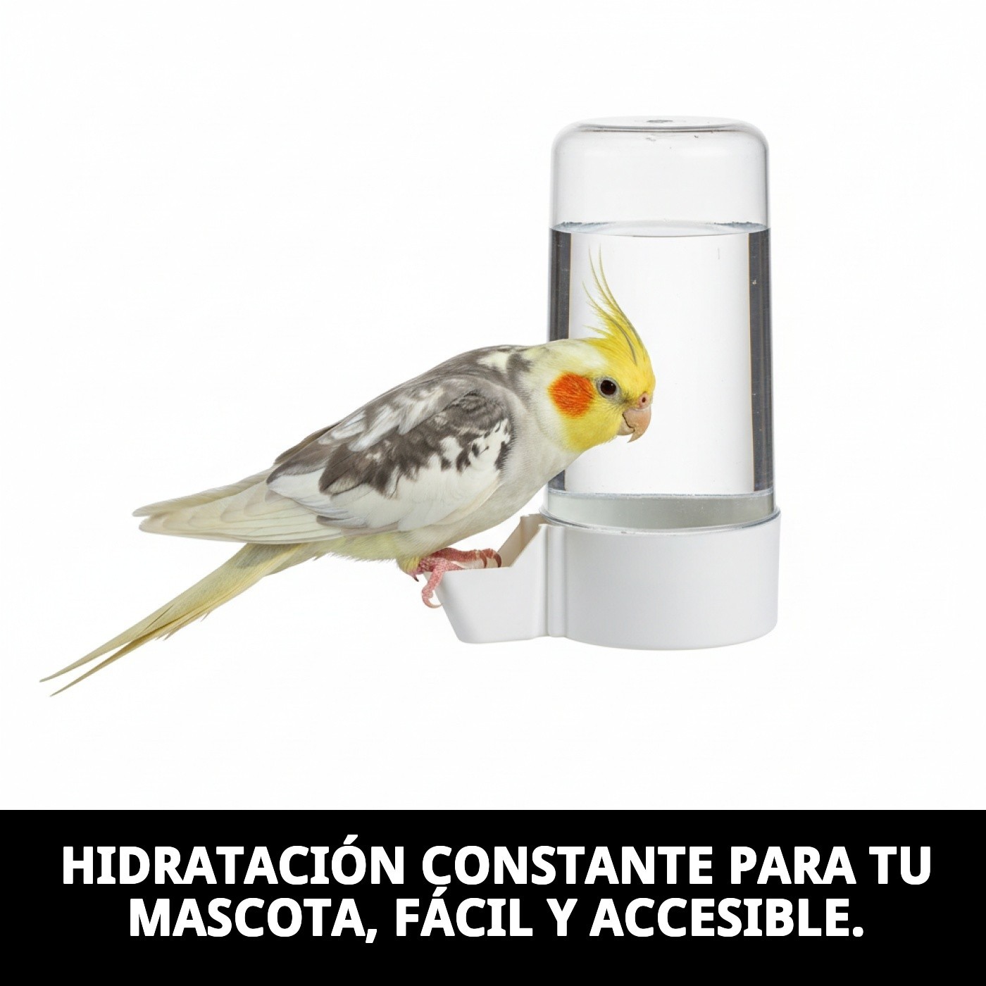 BEBEDERO TUBO SUPER C/ANILLA