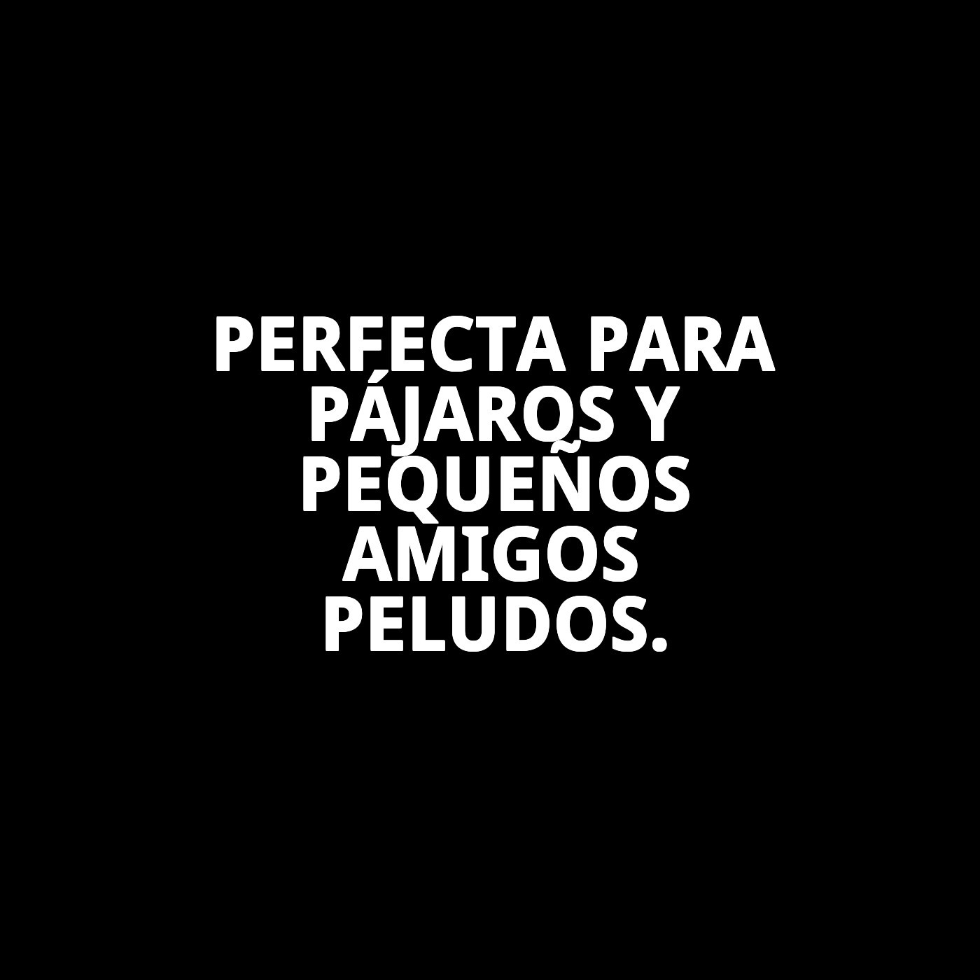 BIZCOCHERA CRISTAL INTERIOR