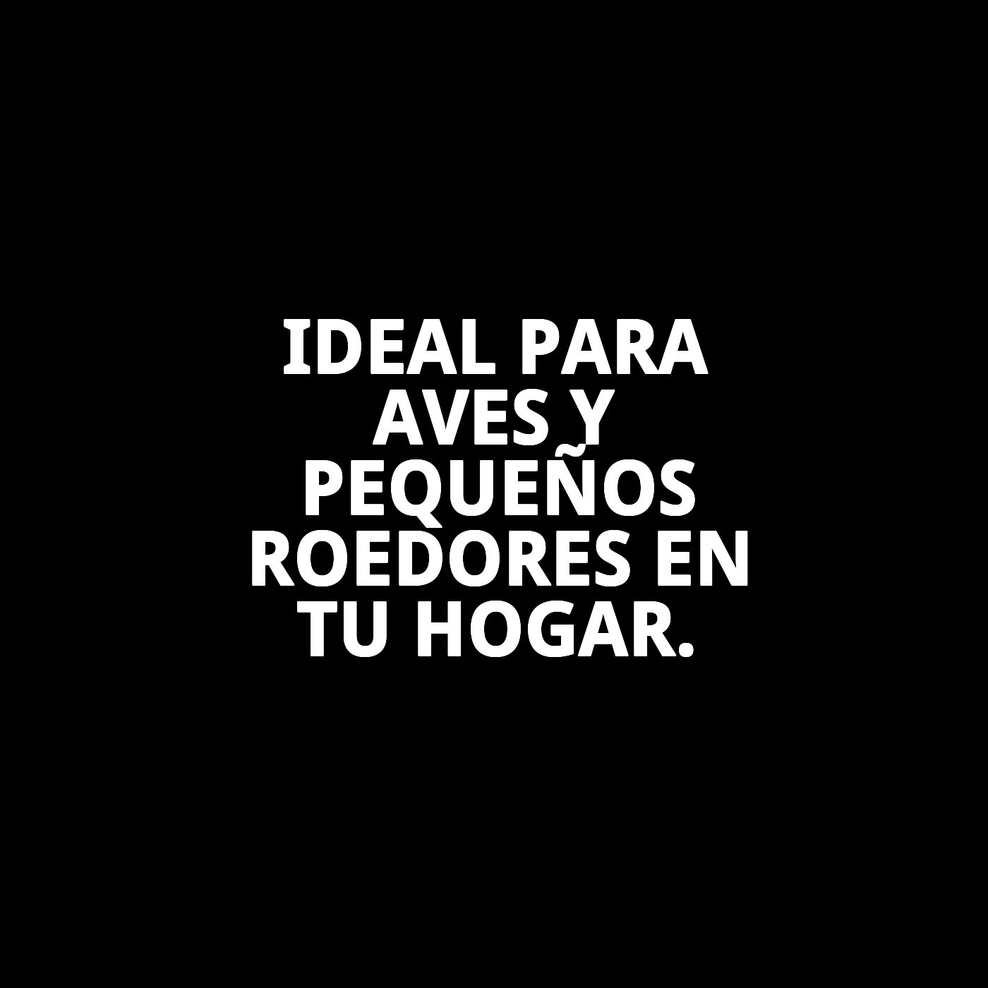 BIZCOCHERA NAVINERA/SEMILLERO