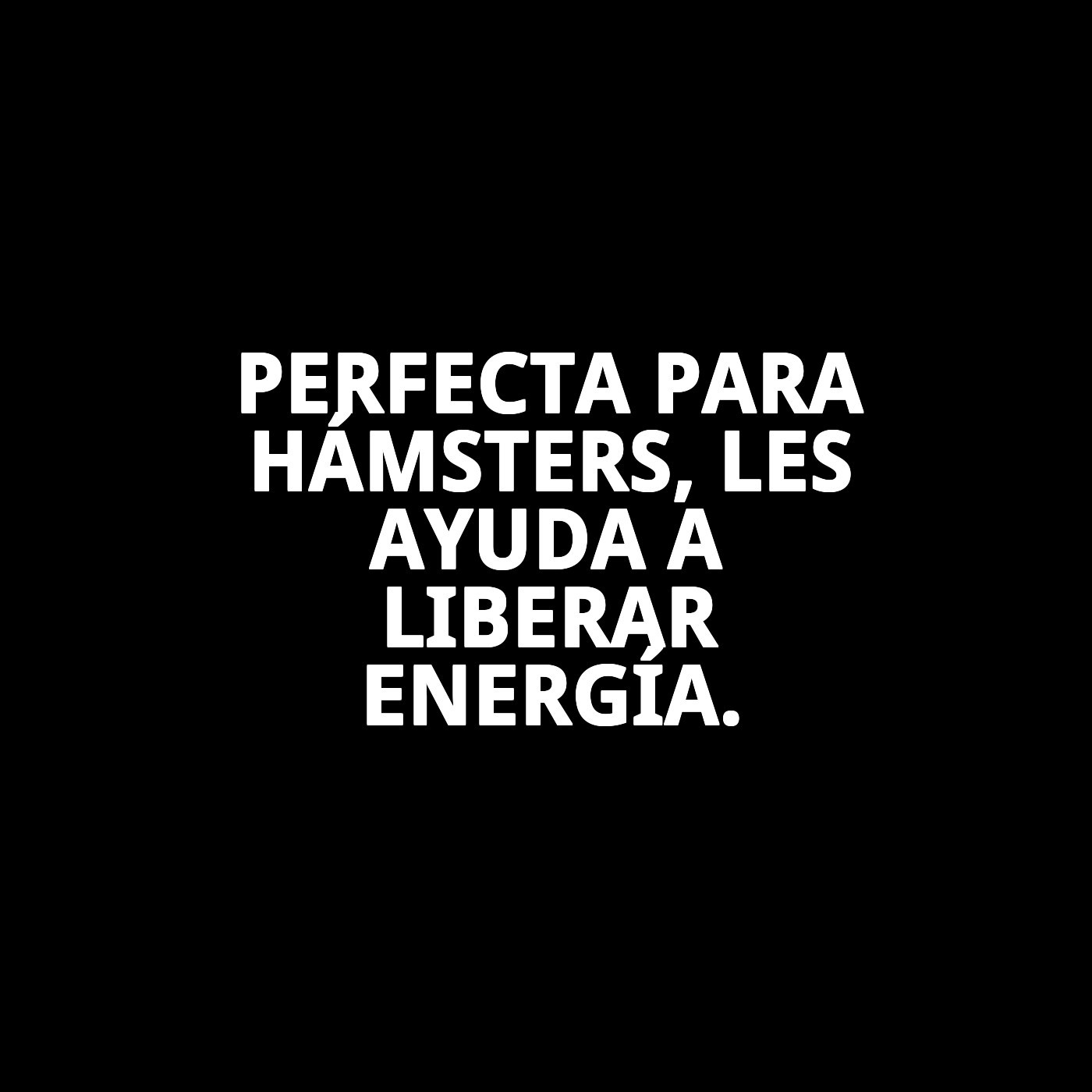 BOLA EJERCICIO PARA HAMSTER 13 cm