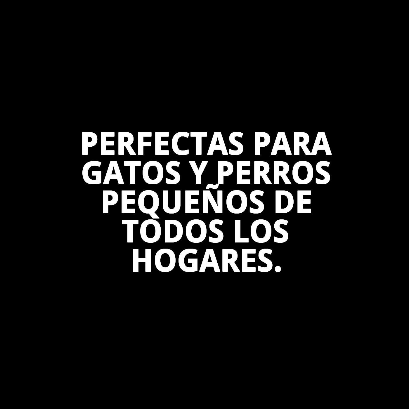 BOLSAS BANDEJAS PEQUEÑAS B-10 PCS