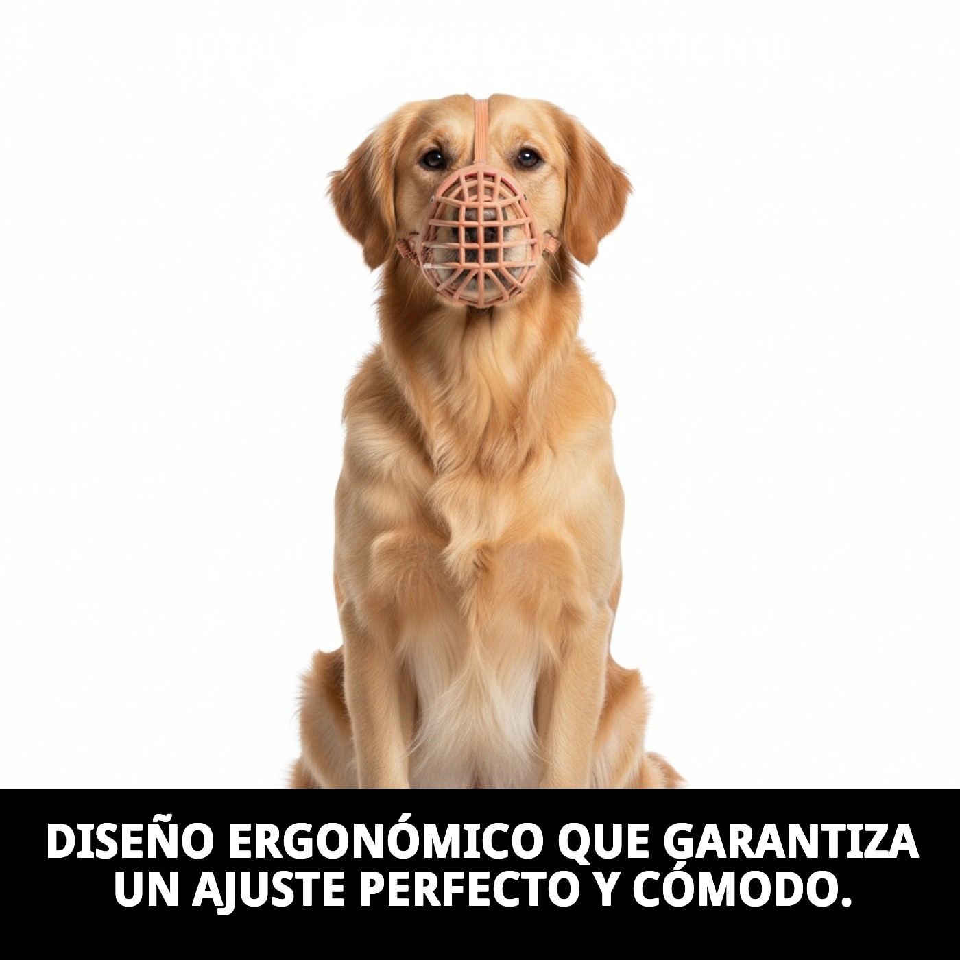 BOZAL CESTA CUERO Y PLASTIC N10