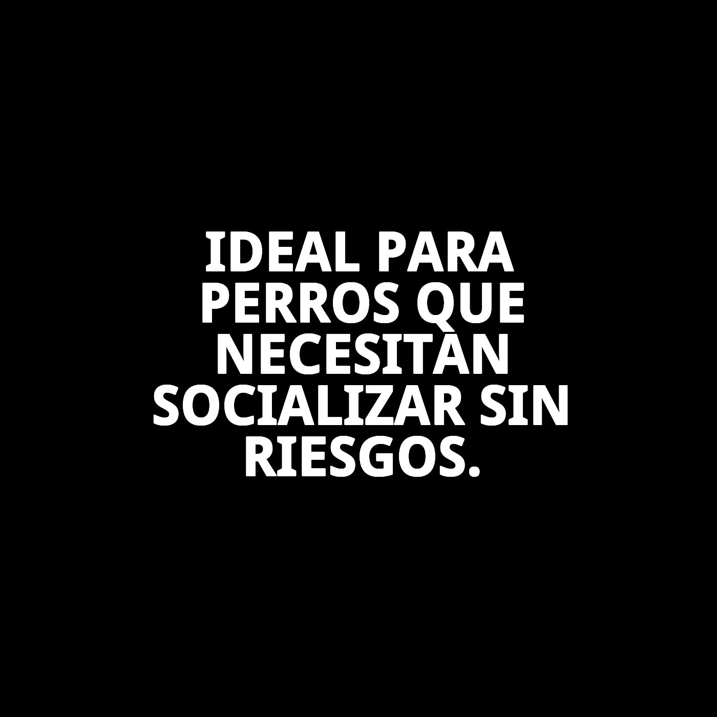 BOZAL CESTA CUERO Y PLASTIC N6