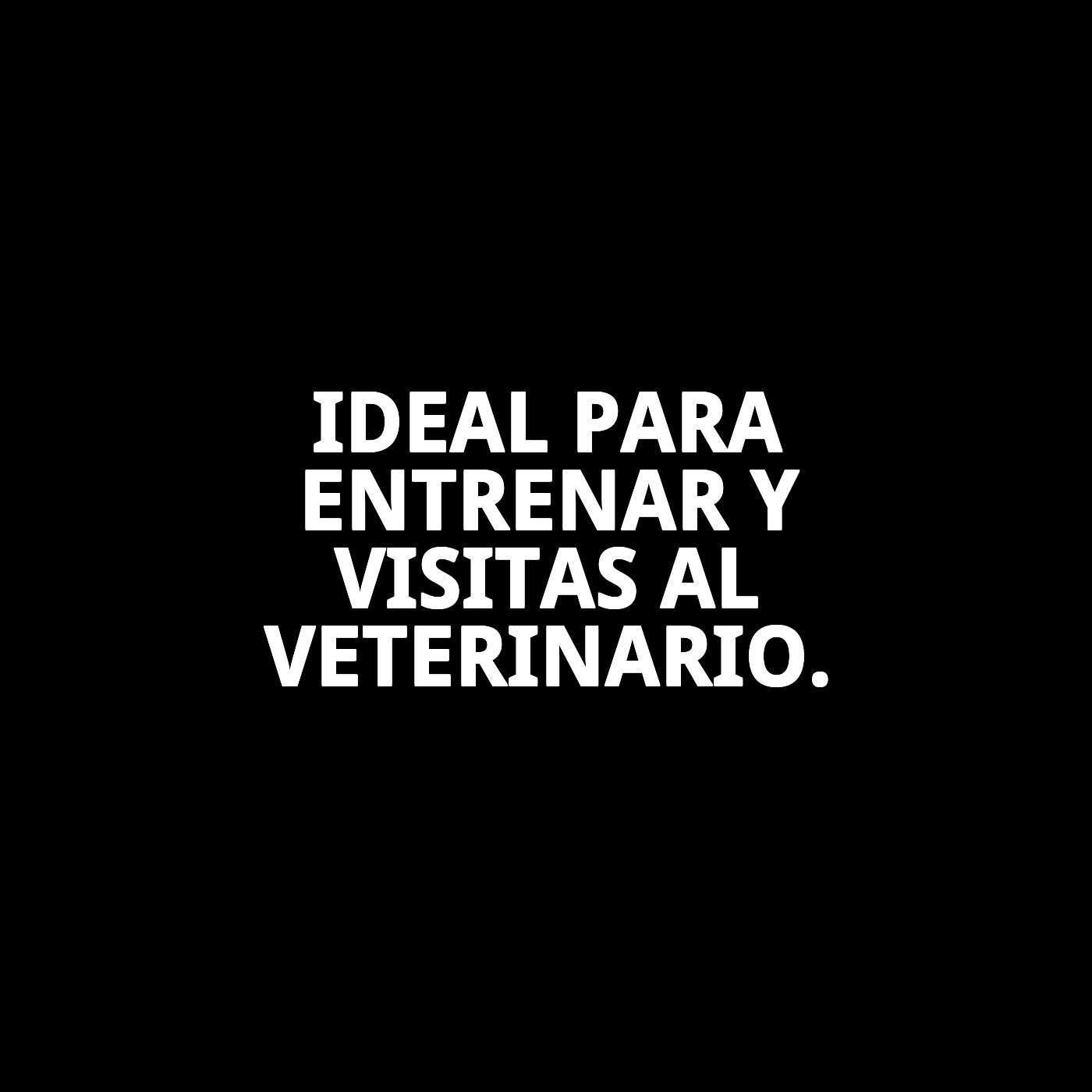 BOZAL CESTA CUERO Y PLASTIC N8