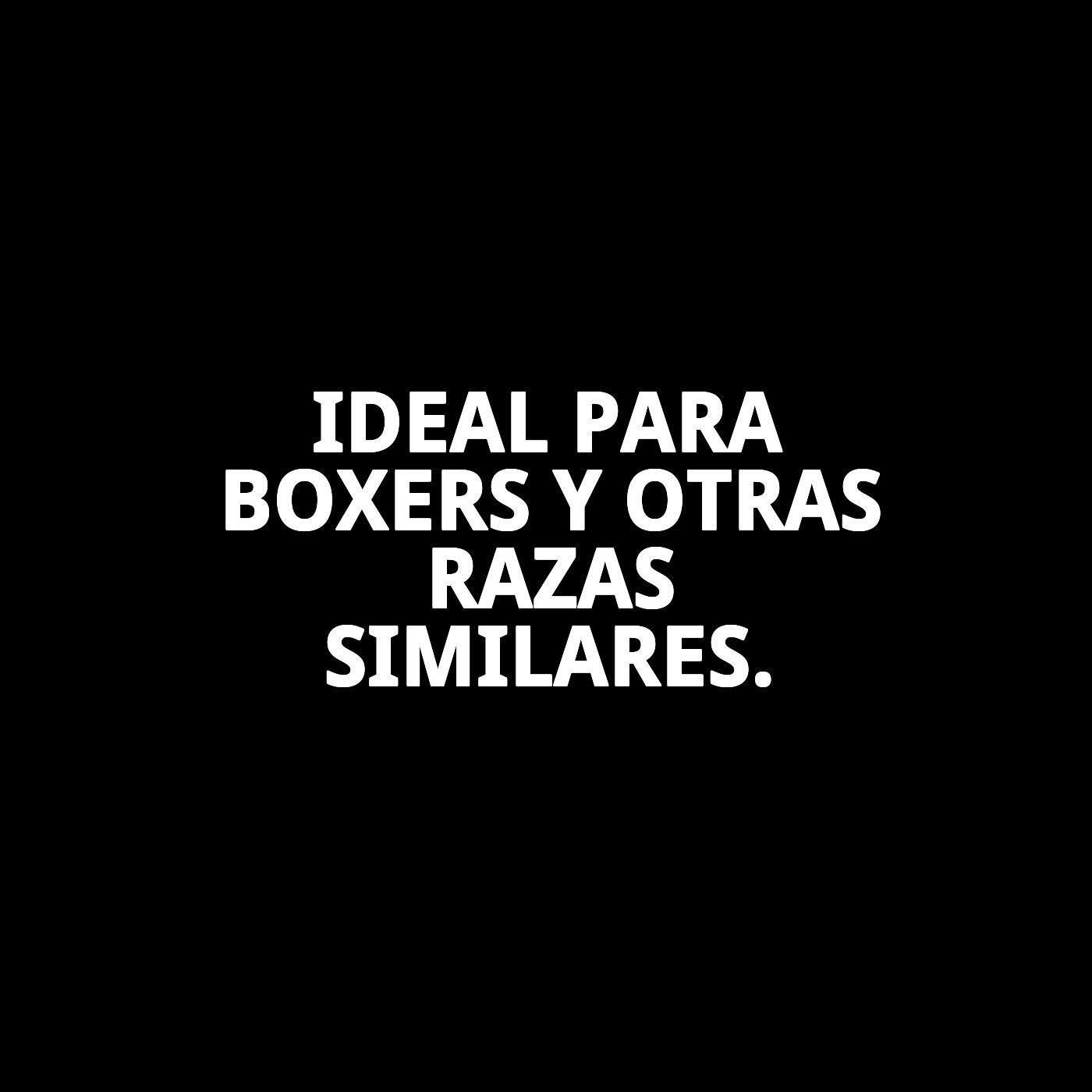 Bozal de Nylon para Boxer N.º 8 (31,5 cm) | Ajuste Seguro y Cómodo – Moly