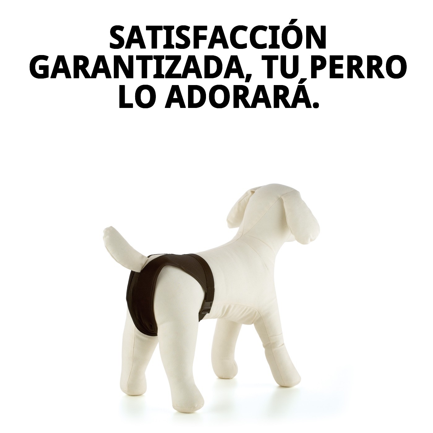 Braguita Slip de Nylon Extra Nº5 Moly (60–70 cm) | Correa Ajustable y Resistente para Perros Grandes