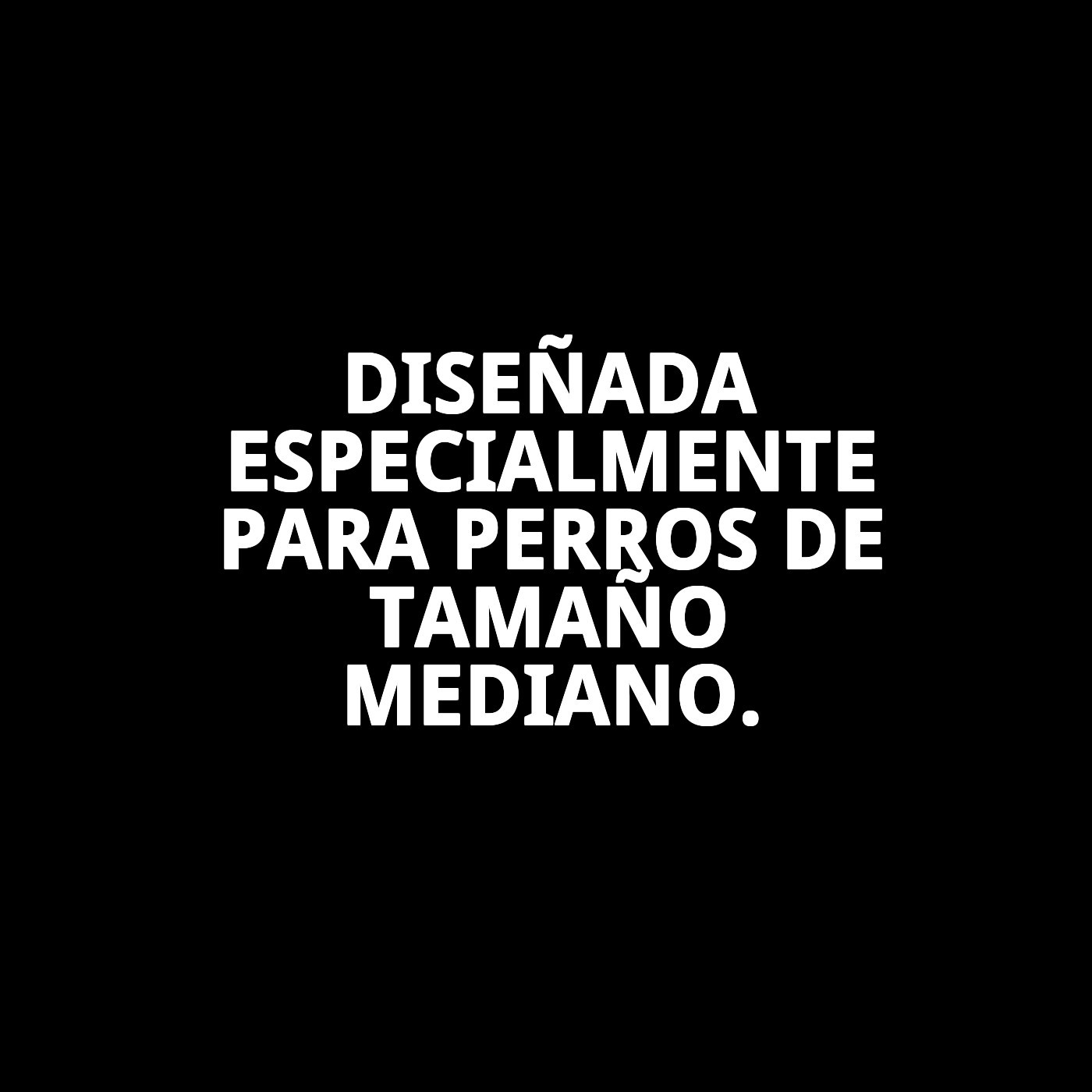 Braguita Slip Nylon Extra Nº4 (50–59 cm) | Ajuste Cómodo y Resistente para Perros Medianamente Grandes