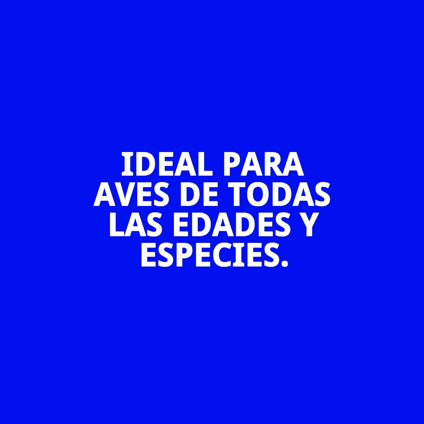 Calcio para Pájaros Moly-Expositor 30 unidades