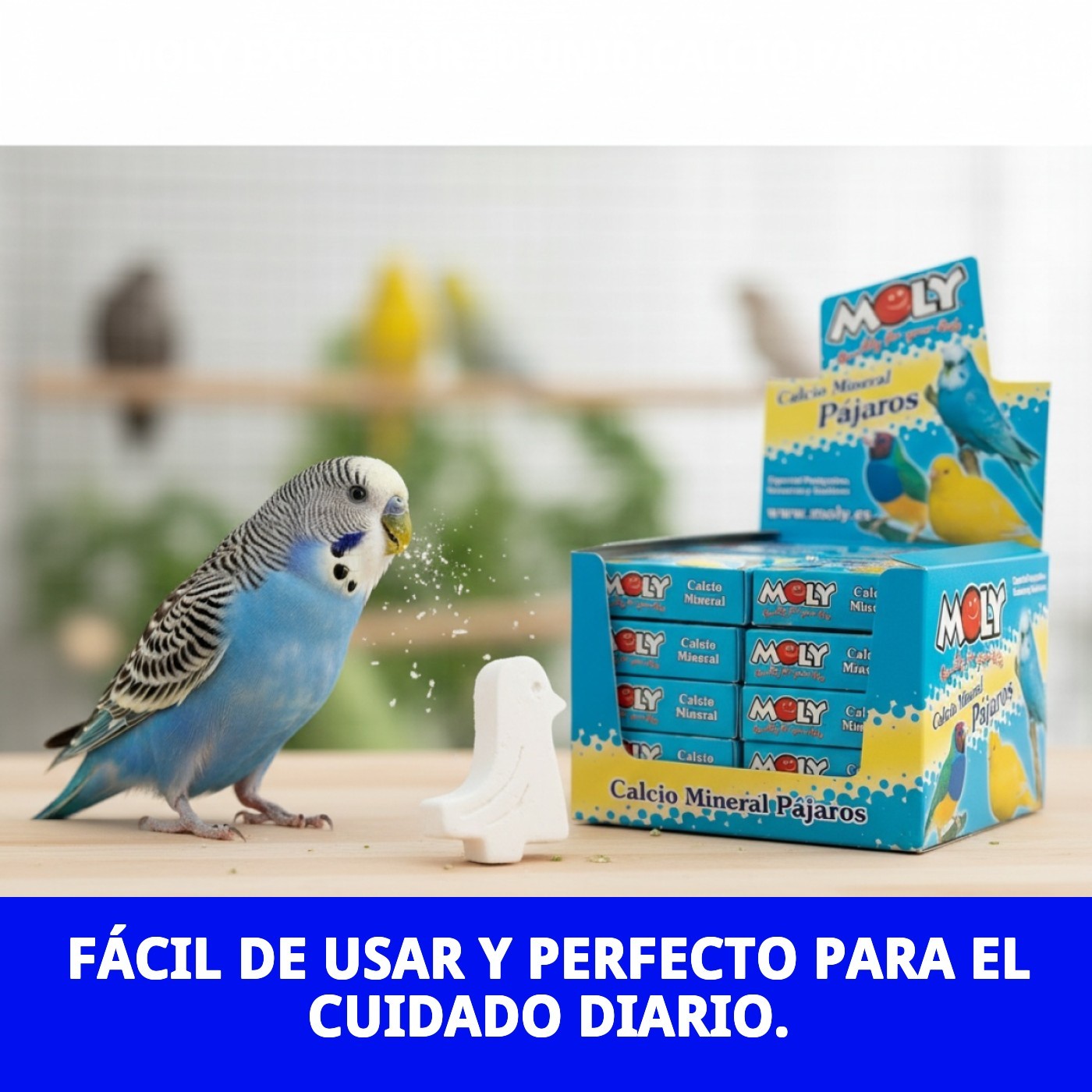 Calcio para Pájaros Moly-Expositor 30 unidades