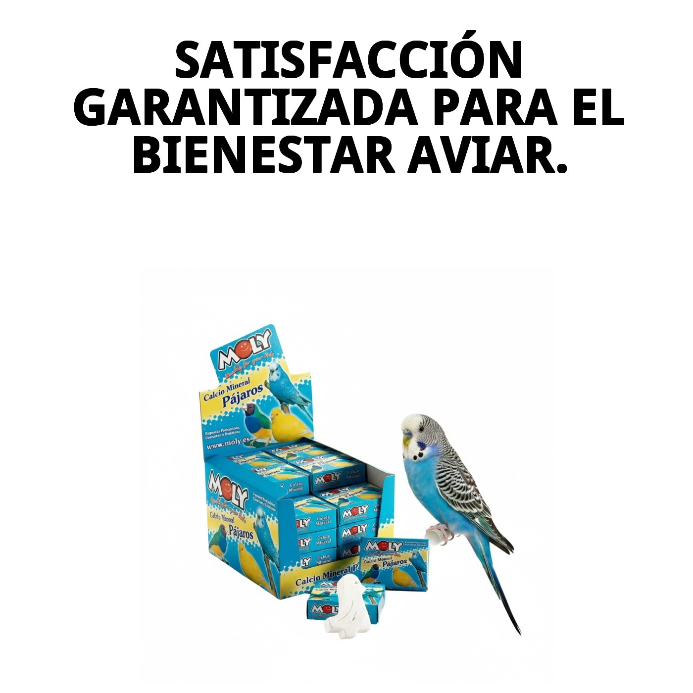 Calcio para Pájaros Moly-Expositor 30 unidades